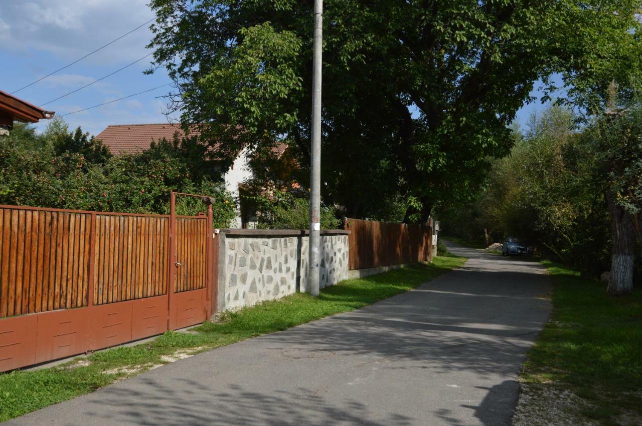 Baza Sportiva Adelina Hotell Cîmpulung Exteriör bild