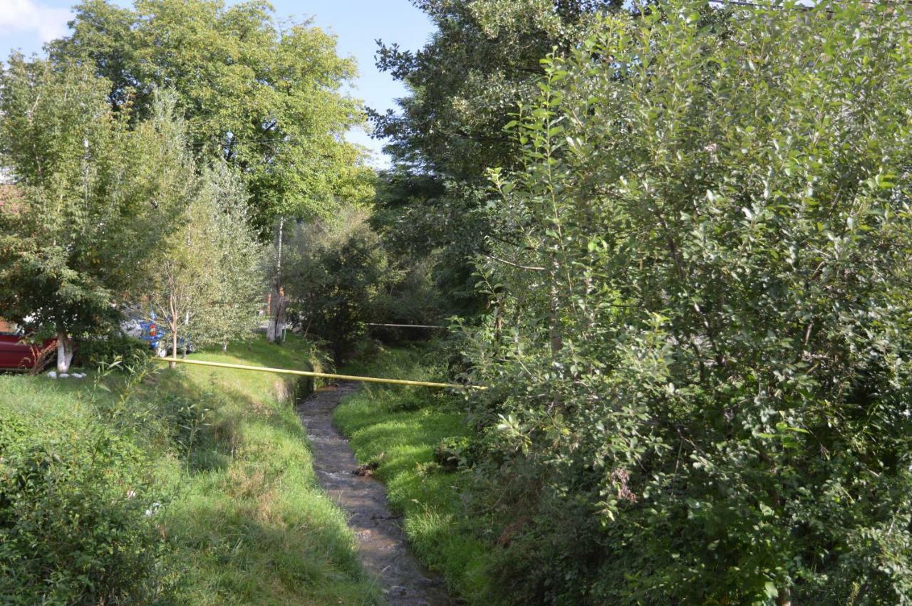Baza Sportiva Adelina Hotell Cîmpulung Exteriör bild
